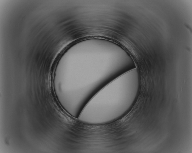 X0000093591076200710151013