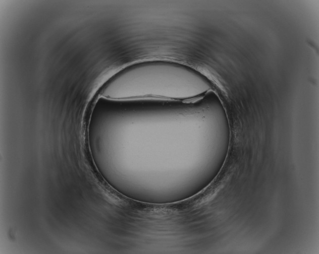 X0000093591077200710151013