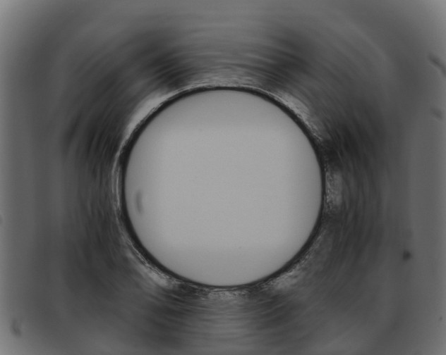 X0000093591078200710151013
