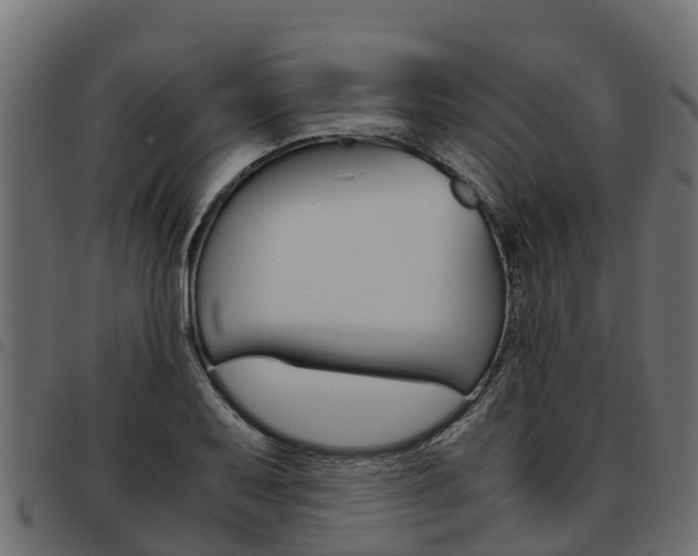 X0000093591079200710151012