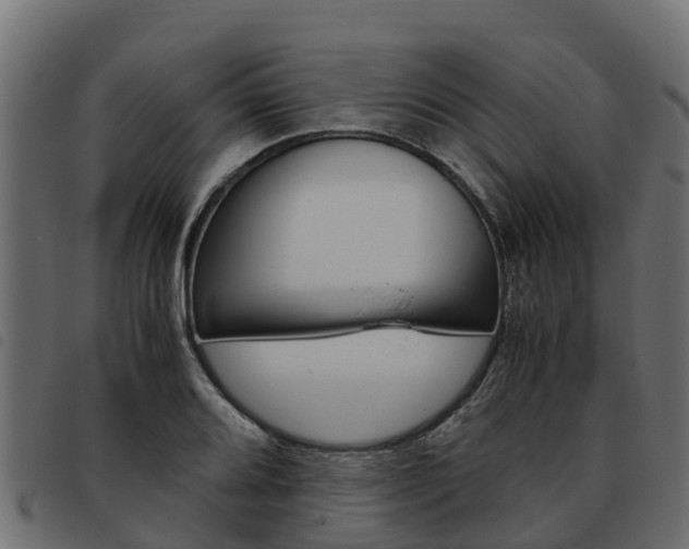 X0000093591080200710151012