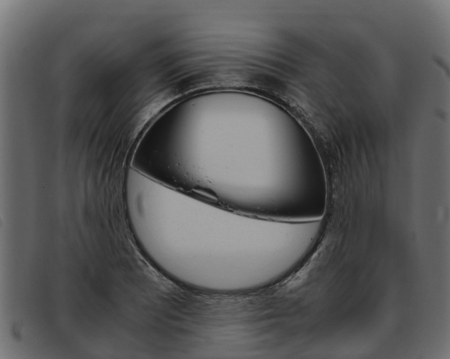 X0000093591081200710151012