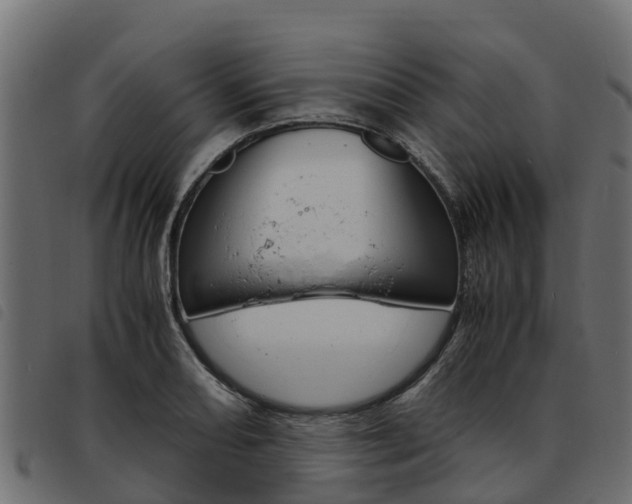 X0000093591082200710151012