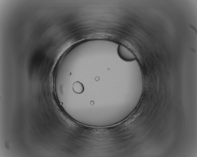 X0000093591083200710151012