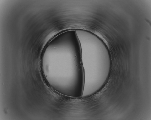 X0000093591085200710151012