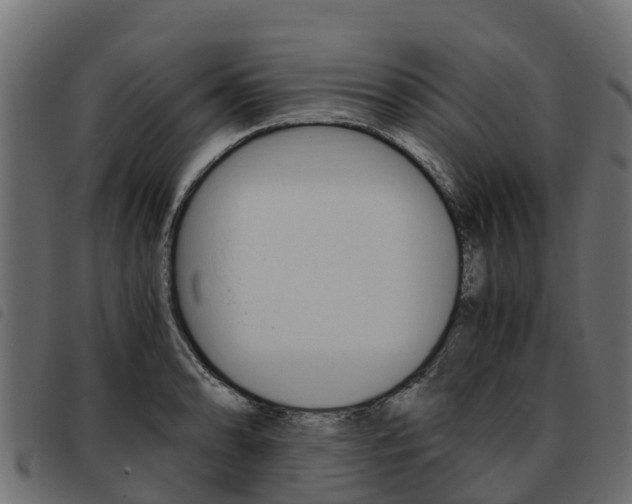 X0000093591086200710151012