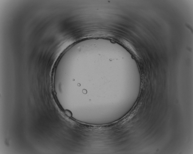 X0000093591087200710151012