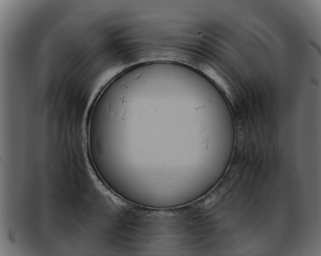 X0000093591088200710151012