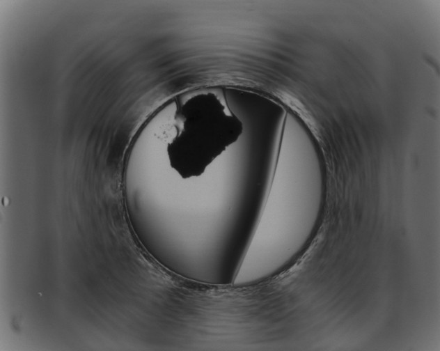 X0000093591089200710151012