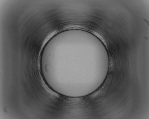 X0000093591090200710151012