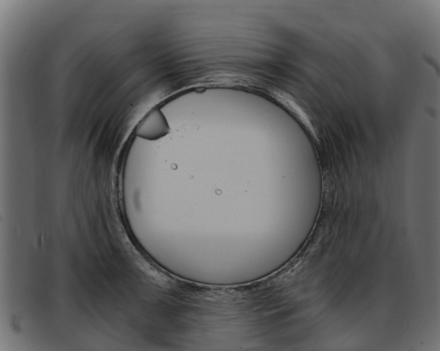 X0000093591091200710151012