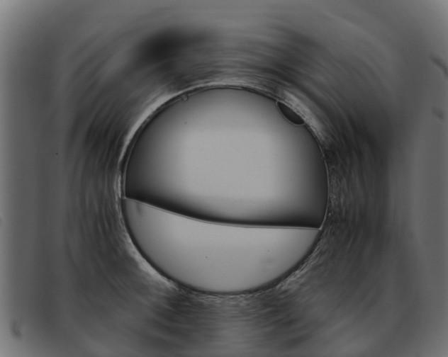X0000093591092200710151012