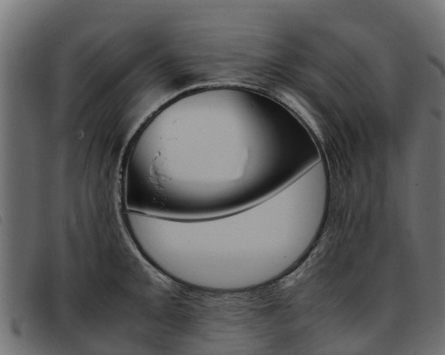 X0000093591093200710151012