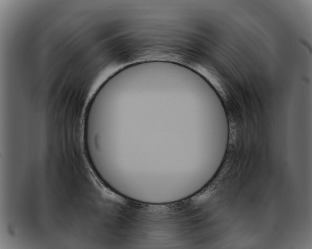 X0000093591094200710151012