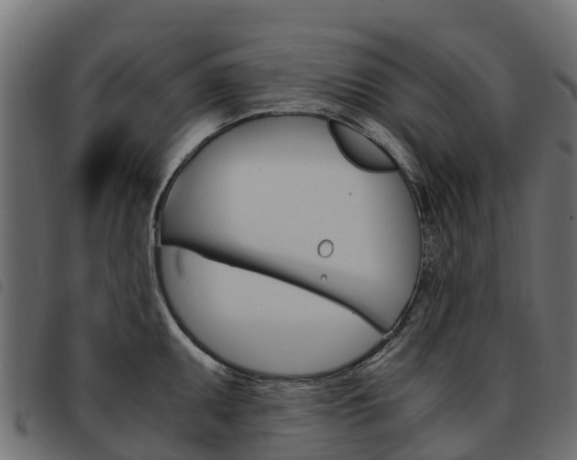 X0000093591095200710151012