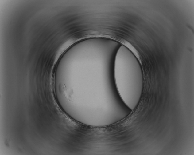 X0000093591096200710151012