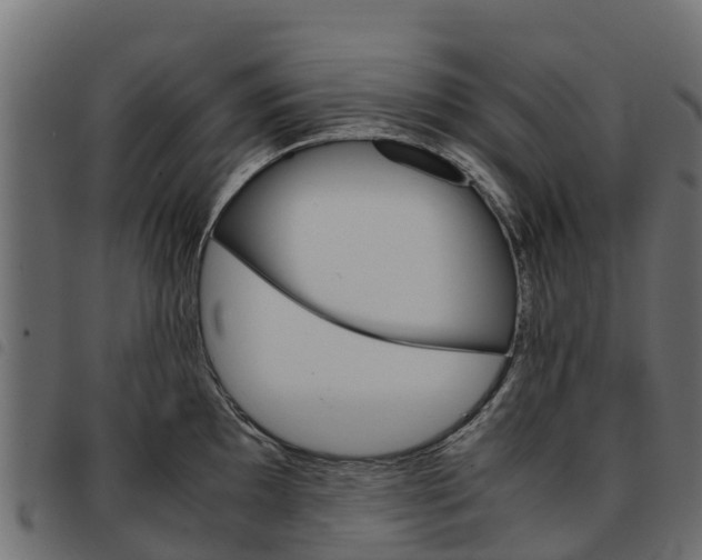 X0000093591097200710151012