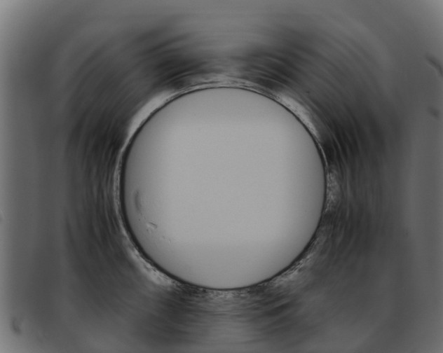 X0000093591098200710151012