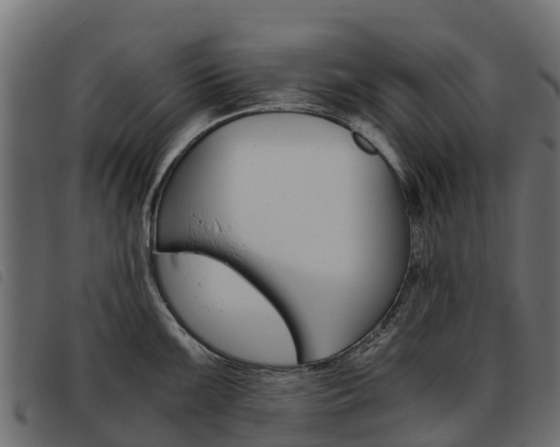 X0000093591099200710151012