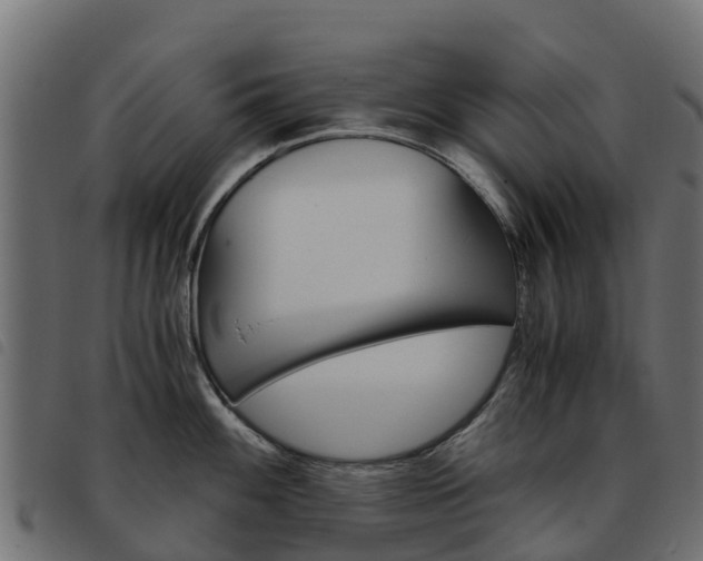 X0000093591100200710151012