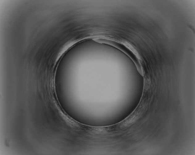 X0000093591101200710151012