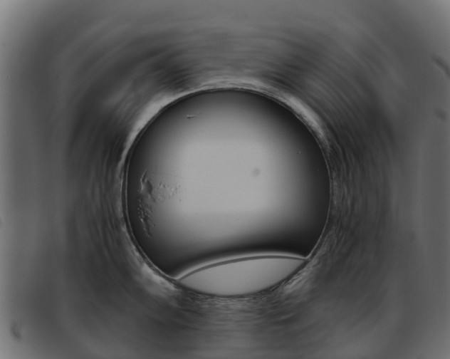 X0000093591102200710151012