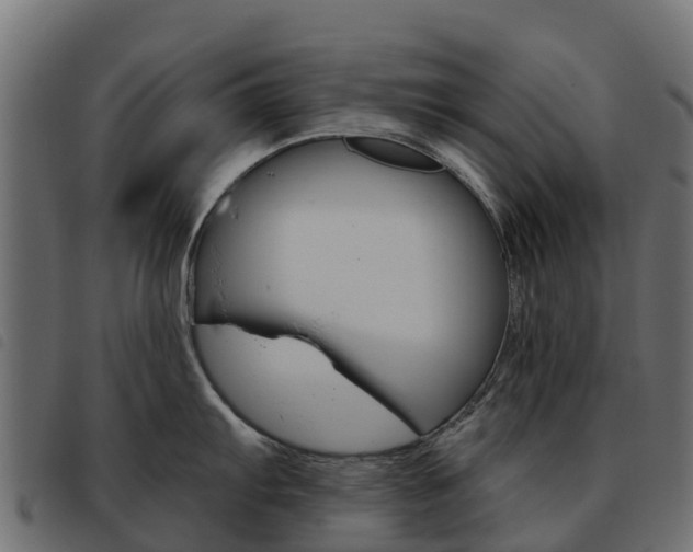 X0000093591103200710151012