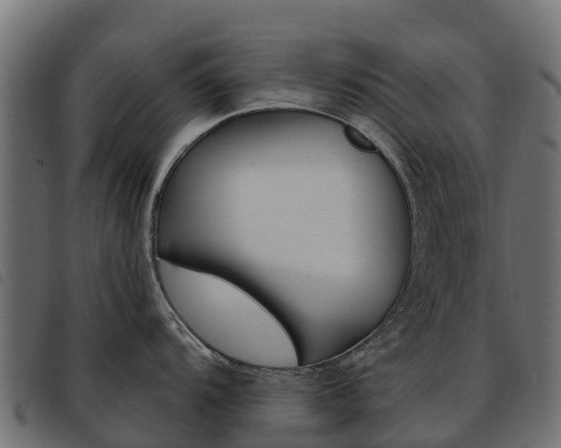X0000093591104200710151012