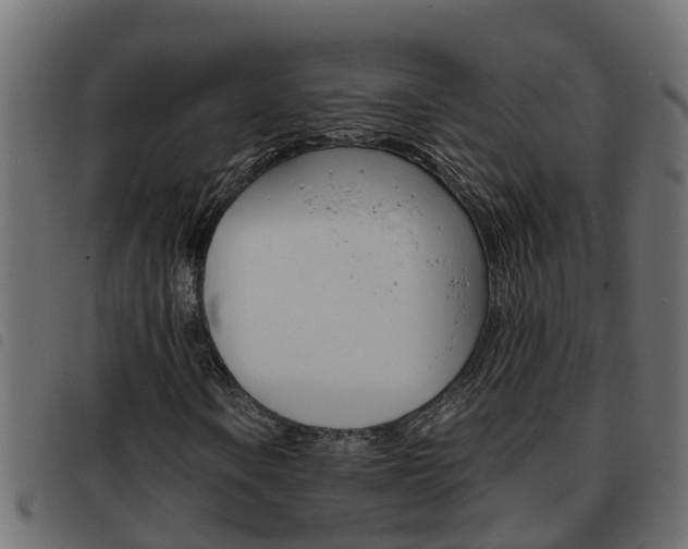 X0000093591106200710151012
