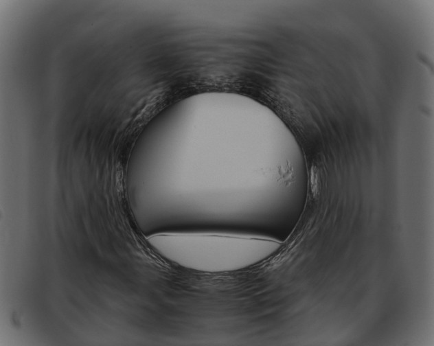 X0000093591107200710151012