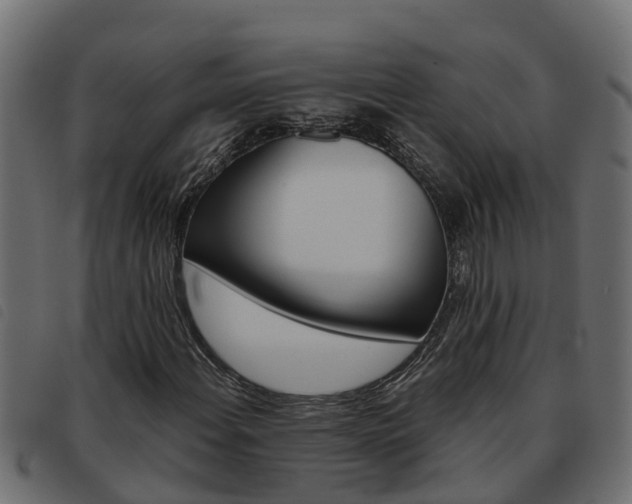 X0000093591108200710151012