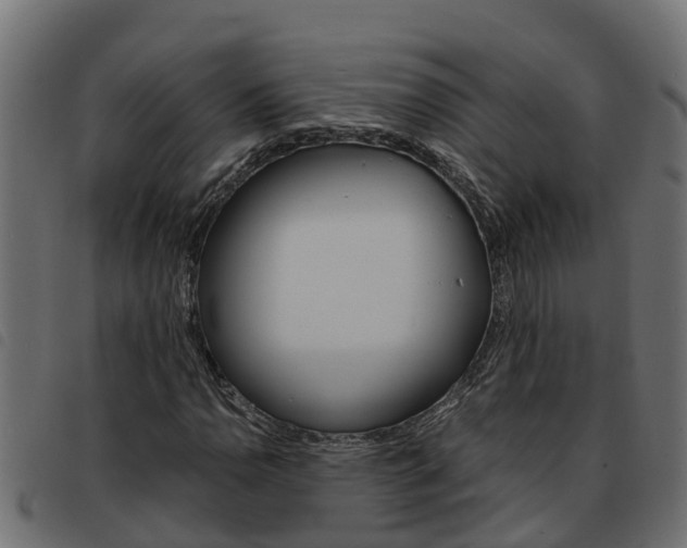 X0000093591110200710151012