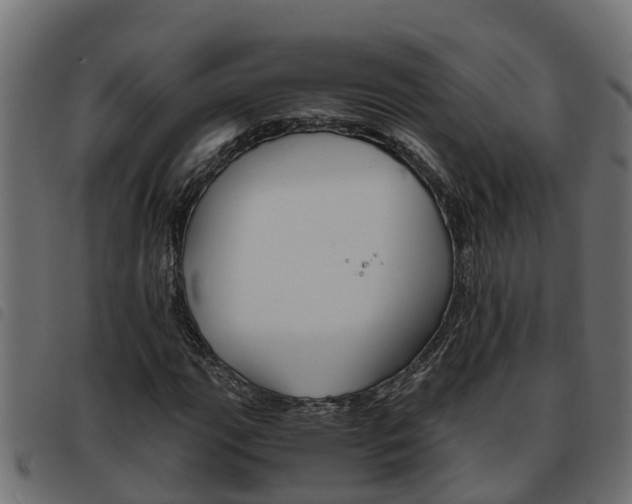 X0000093591111200710151012