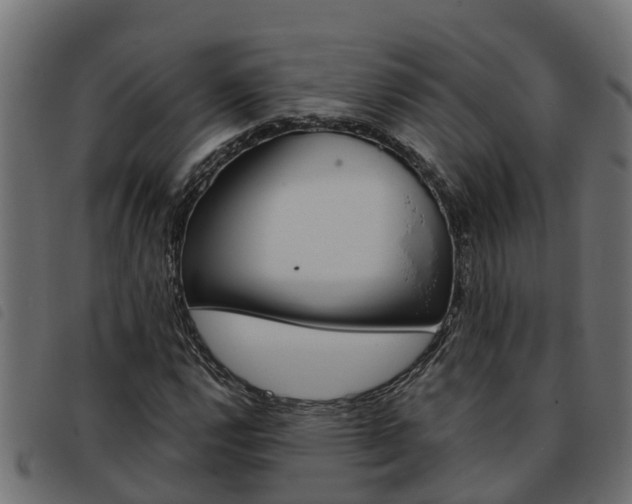 X0000093591112200710151012