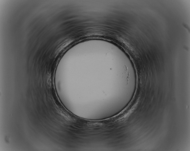 X0000093591113200710151012