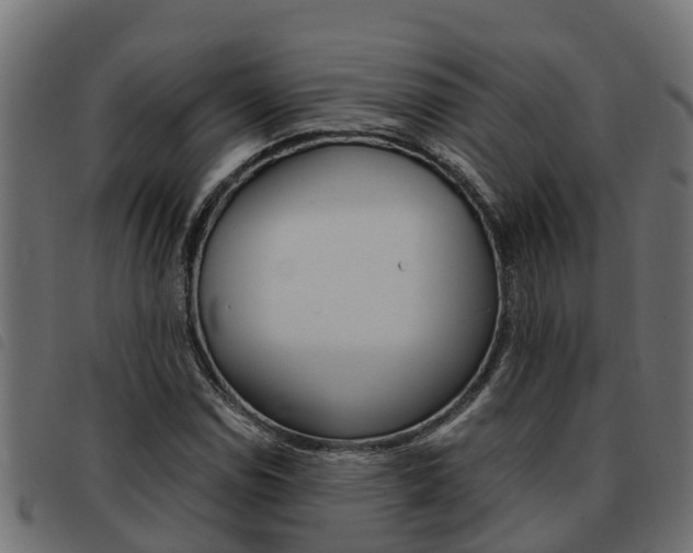 X0000093591114200710151012