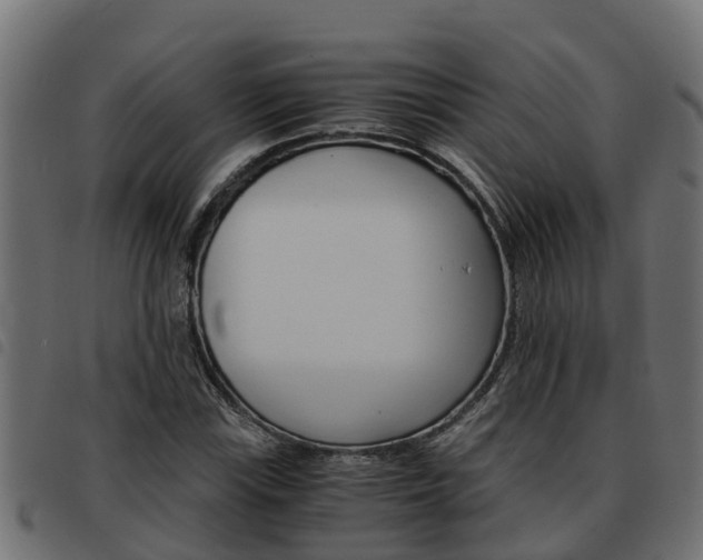 X0000093591115200710151012