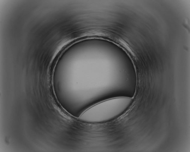 X0000093591116200710151012
