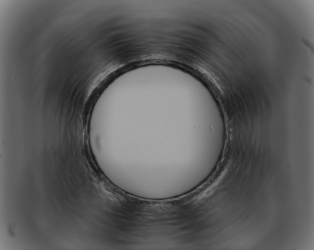 X0000093591117200710151012