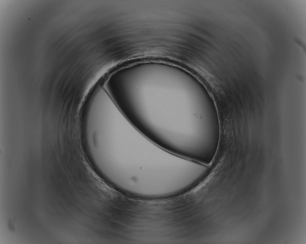 X0000093591118200710151012
