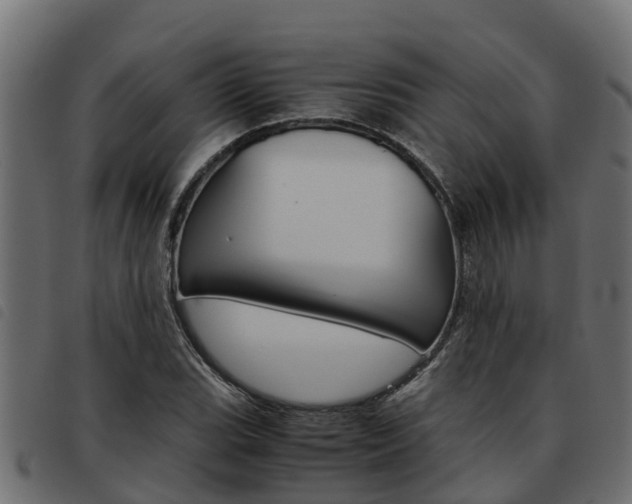 X0000093591119200710151012