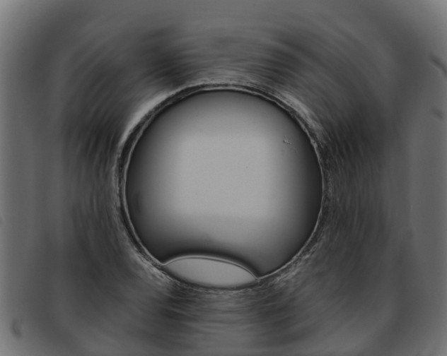 X0000093591120200710151012