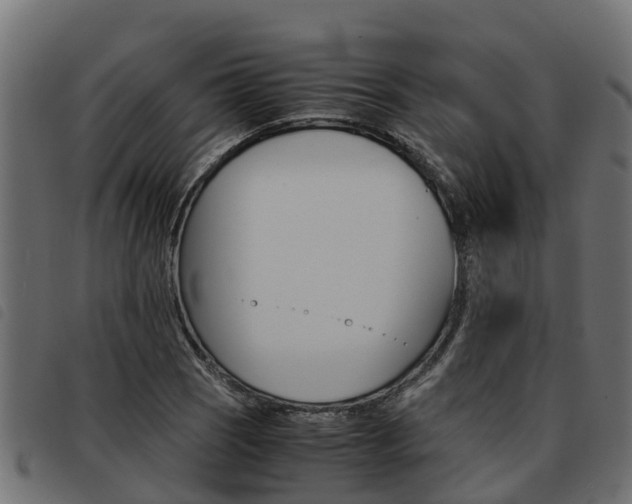 X0000093591121200710151012