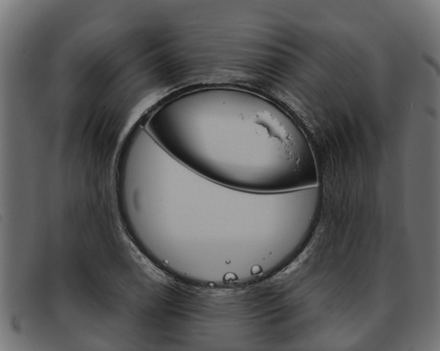 X0000093591122200710151012