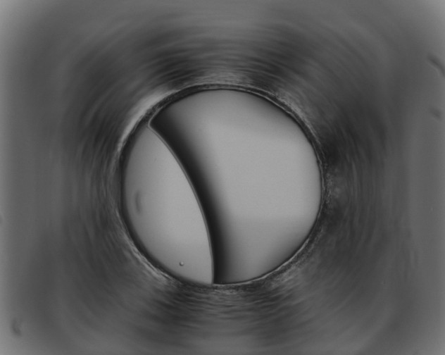 X0000093591123200710151012