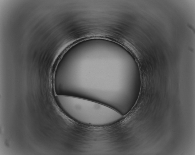 X0000093591124200710151012