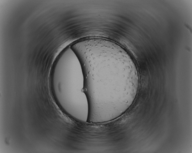 X0000093591125200710151012