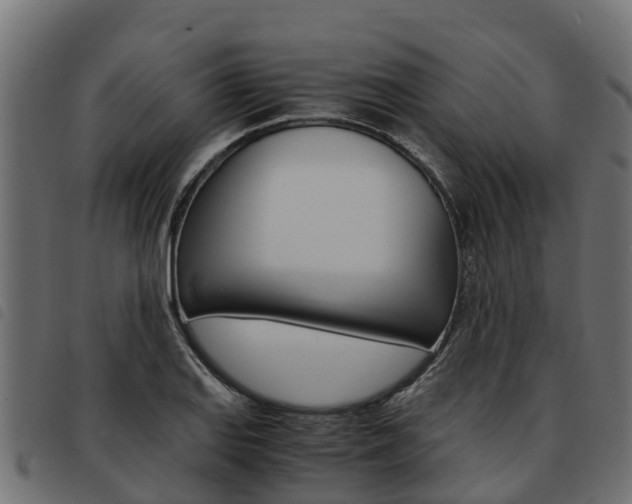 X0000093591127200710151012