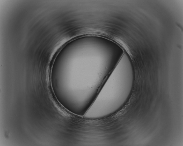 X0000093591128200710151012