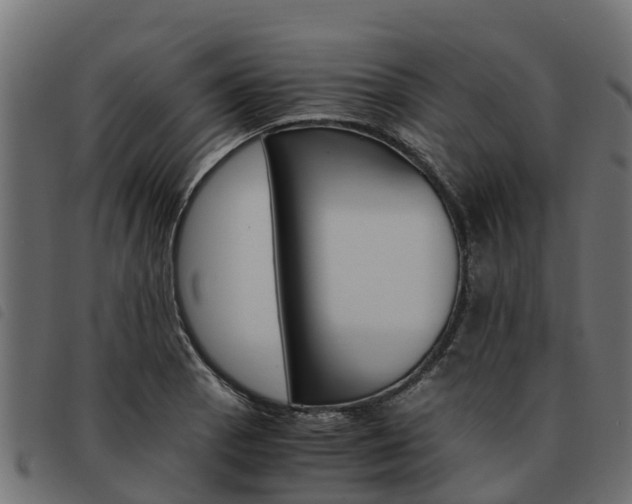 X0000093591129200710151012